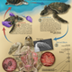 Illustration for article titled A mind-blowing gallery of the best science visualizations from 2013